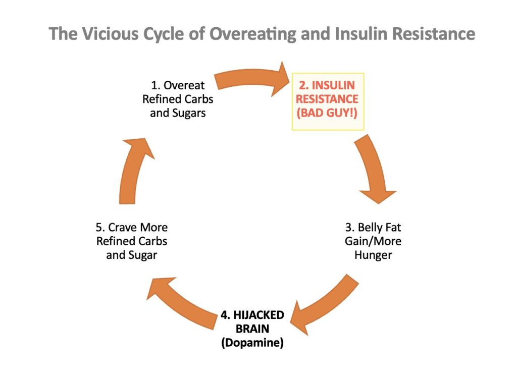 Overeating and Insulin Resistance.